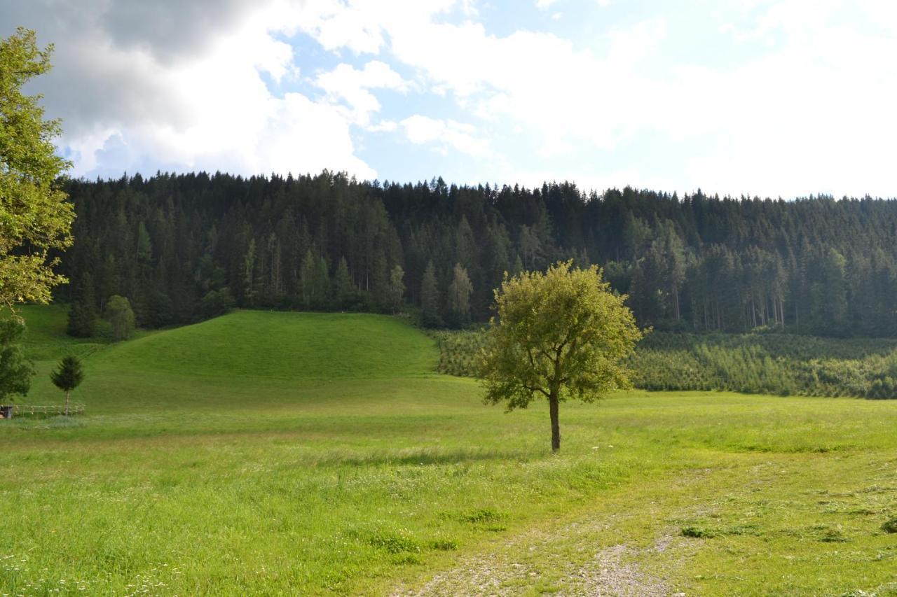 Ferienwohnung Ertlerhof Ranten Exteriér fotografie